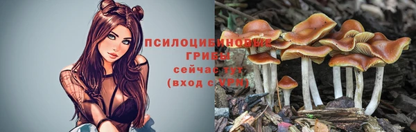прущая мука Касимов