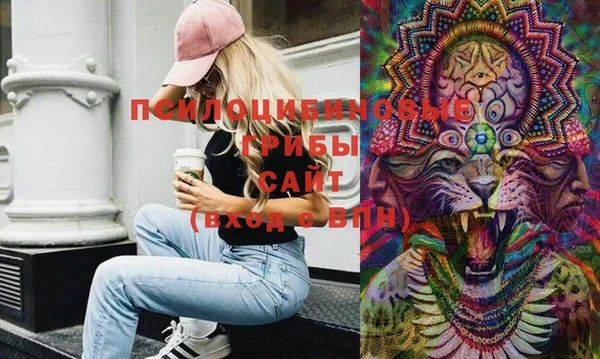 дмт Карпинск