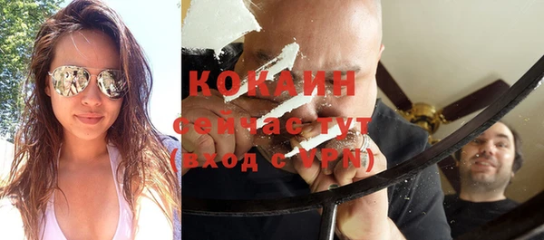 дмт Карпинск